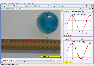 Tracker Modeling in 2 Pendulum swinging in phase