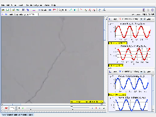 Tracker Modeling in Spring Mass System