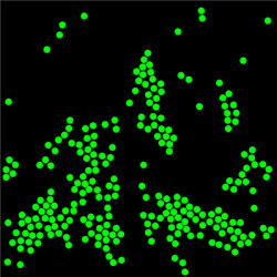 Molecular dynamics