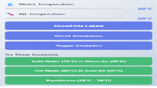 Interactive Condensation Simulation thumbnail