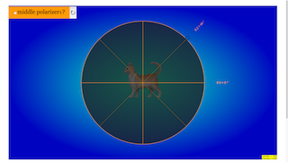 2 Or 3 Polarizers Simulator thumbnail